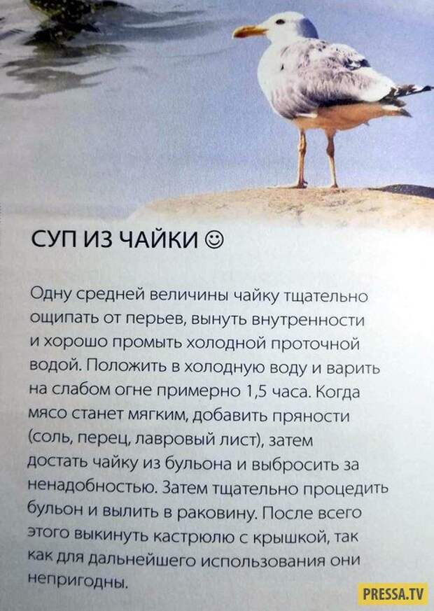 Жизненные и прикольные картинки с надписями (34 фото)
