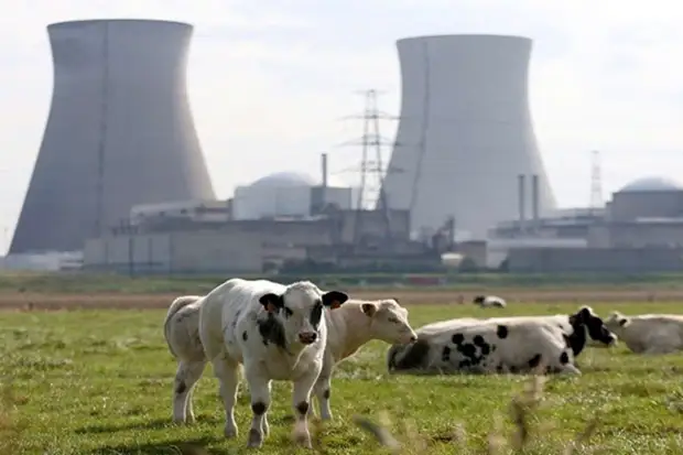 «Нужны 100 энергоблоков и €1 трлн». Сможет ли Европа заменить российский газ атомной энергией