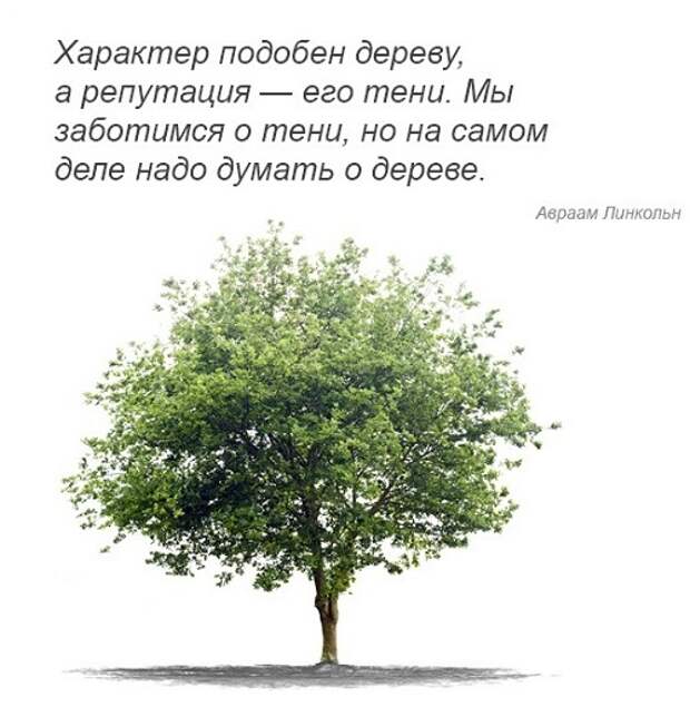 мудрые мысли