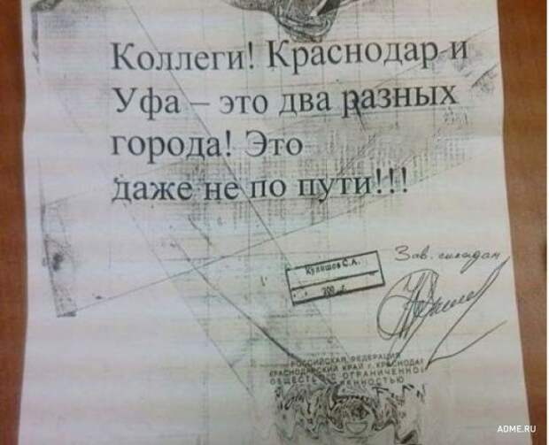 Записки из нескучного офиса