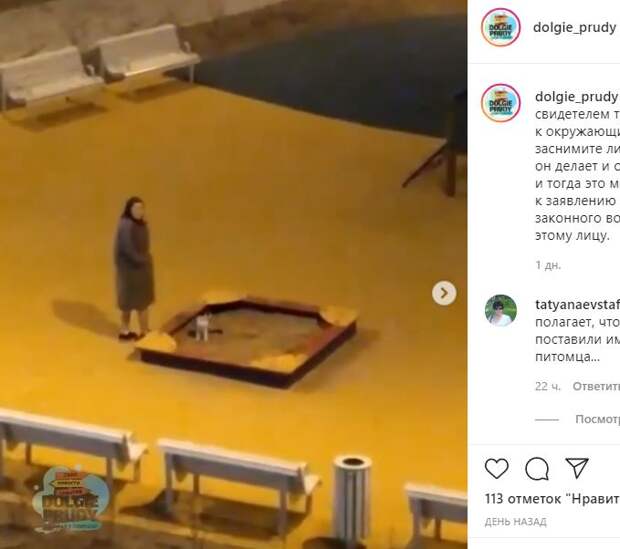 Жительница новостройки в Северном принимает дворовую песочницу за кошачий туалет
