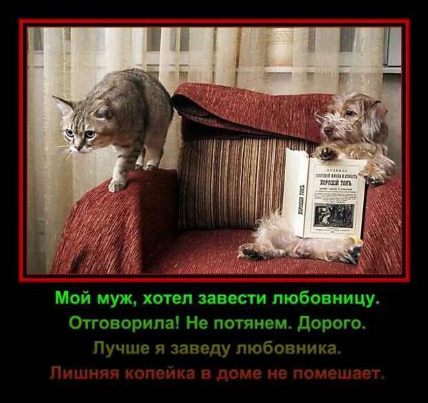 Прикольные демотиваторы с надписями. Подборка chert-poberi-dem-chert-poberi-dem-10330907112020-2 картинка chert-poberi-dem-10330907112020-2