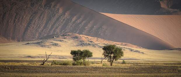 Sossusvlei17 Африка. Намибия. Пустыня Намиб   Соссусфлей