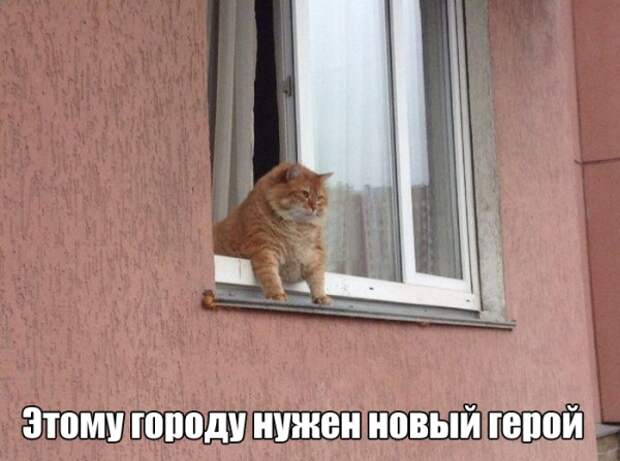ПОДБОРКА ФОТОПРИКОЛОВ №618