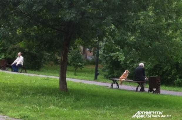 Поддержка родных необходима в любом возрасте.