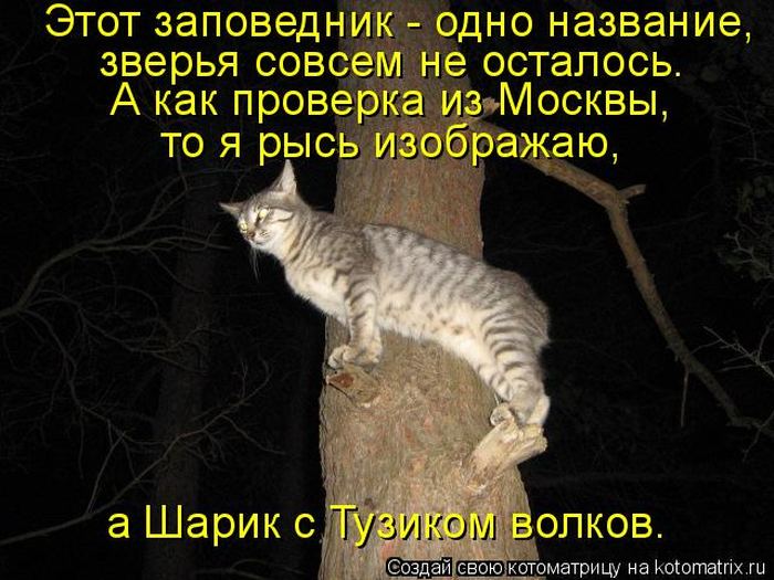 Мысли вслух :)