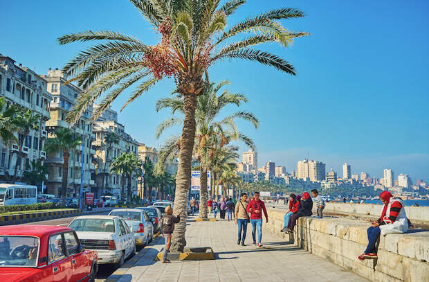 Фото Александрия