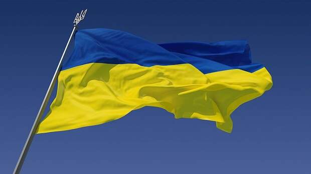 Футбольного фаната заставили убрать украинский флаг во время матча между США и Ираном