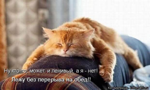 Котоматрица: Ну кто-то, может, и ленивый, а я - нет! Лежу без перерыва на обед!!