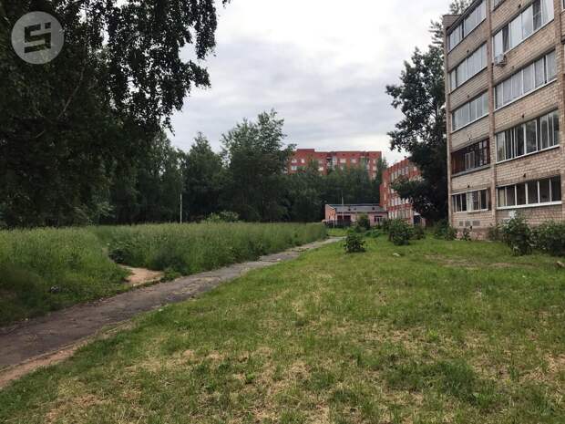 Мэр Ижевска пообещал завершить покос травы на городских магистралях до 6 июля
