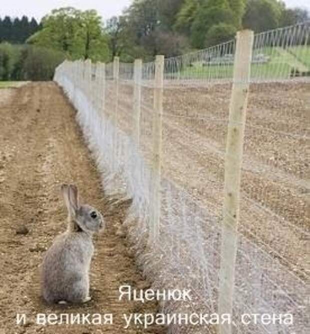 Юмор: Бандеровцы гадят по-тихому или новые анекдоты про Украину