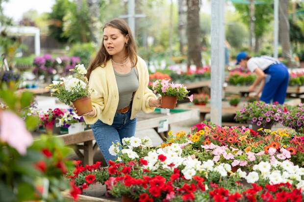 Лучшие сорта петунии: описание и фото. 25+ популярных сортов цветка разных видов