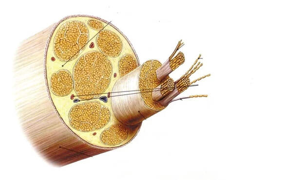 304
