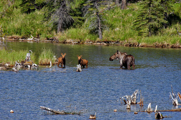 ak-july-2011a36 ak-july-2011a36