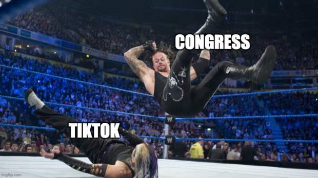 funny meme about US Congress taking down TikTok