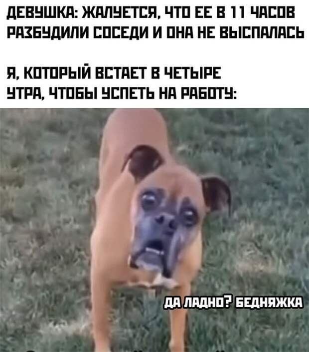 Смешные картинки 30 сентября 2021 года
