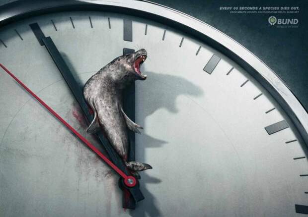рекламные кампании о животных раскрывающие правду (8)