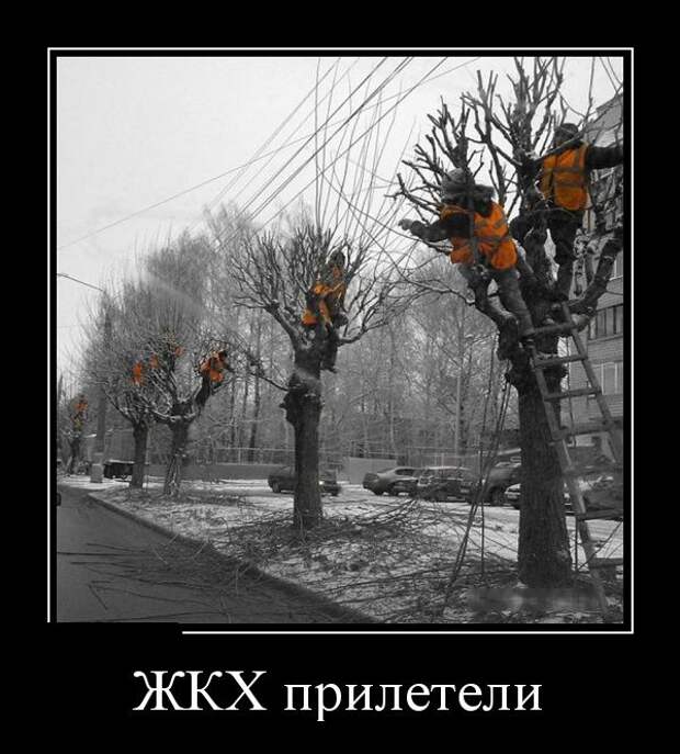 Демотиваторы (30 фото)