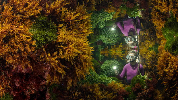: Justin Gilligan / 2021 Wildlife Photographer of the Year Дикие снимки