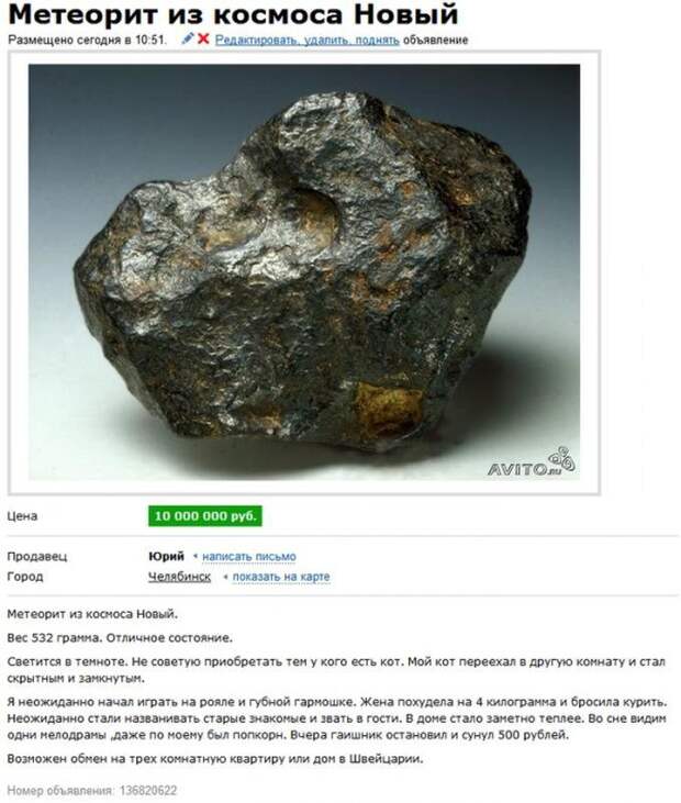 самые оригинальные объявления на авито 