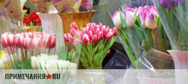 Каждый второй опрошенный россиянин привлекает ИИ для сочинения поздравлений с 8 марта