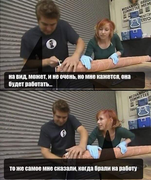Прикольные картинки