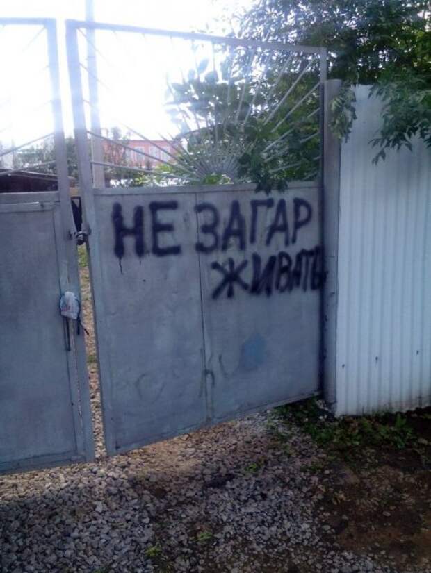 АВТОприколы на Бугаге (22 фото)