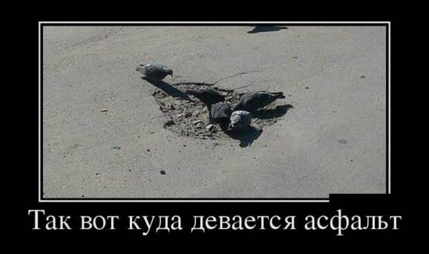 Демотиваторы (30 фото)