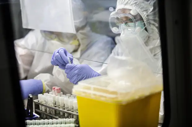 Ветераны спецслужб Армении требуют проверить 12 биолабораторий, финансируемых Пентагоном