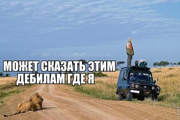 Смешные картинки с надписями прикол, юмор
