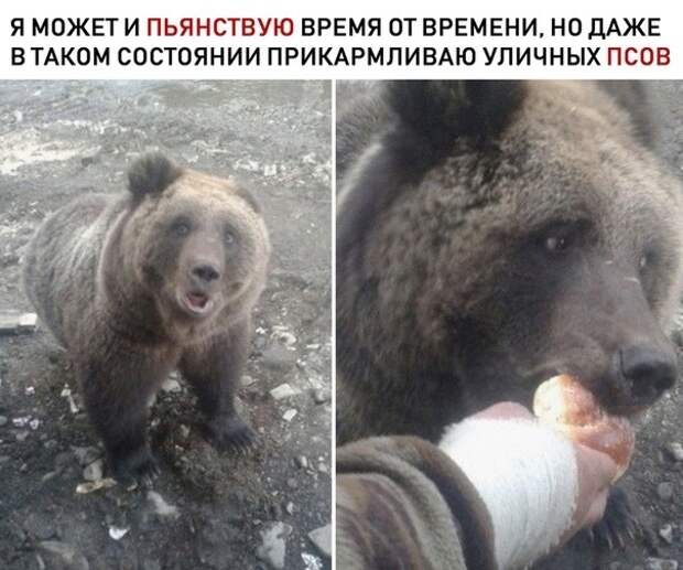 Все бы так Все бы так
