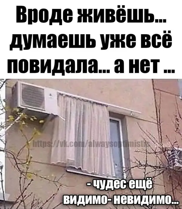 Идет мужик к цветочному магазину и бубнит : Идет мужик к цветочному магазину и бубнит :