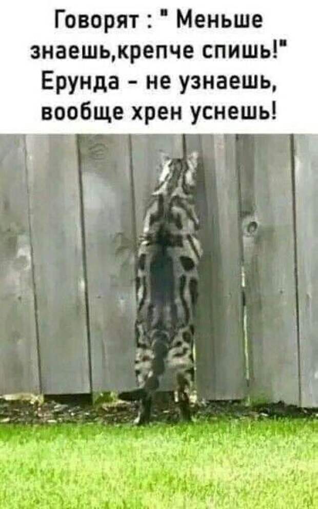 Супер улетные картинки и мемы