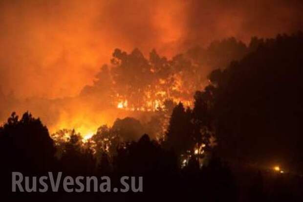 Страшные пожары на Канарах: эвакуированы тысячи человек (ФОТО, ВИДЕО) | Русская весна