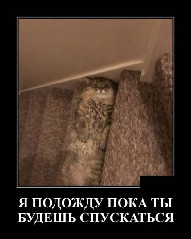 Демотиваторы (30 фото)