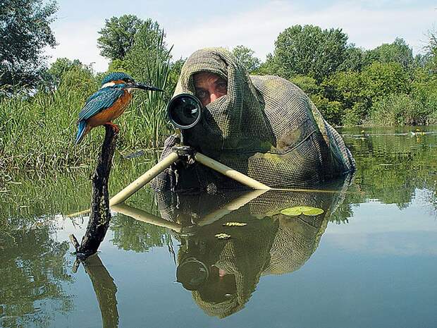 птица, фотограф