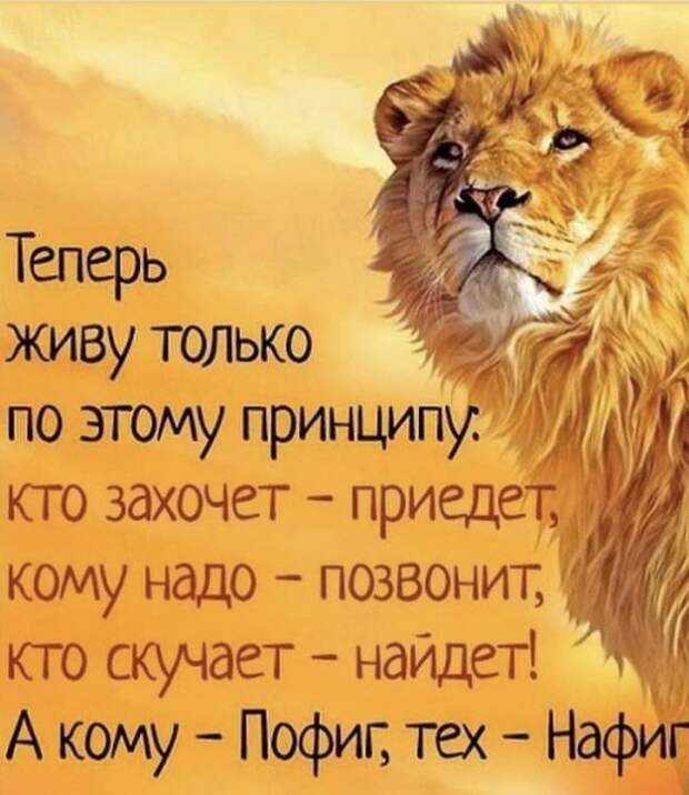 www.vsyako.net