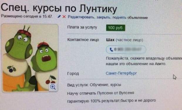 Объявления, мимо которых невозможно пройти.