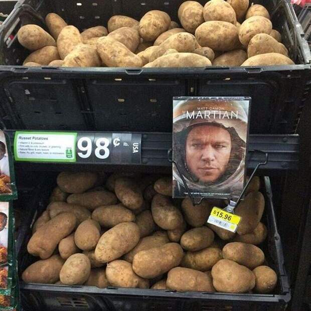 А чем ты хуже? Купи картохи! А чем ты хуже? Купи картохи! дизайн, маркетинг, прикол, реклама
