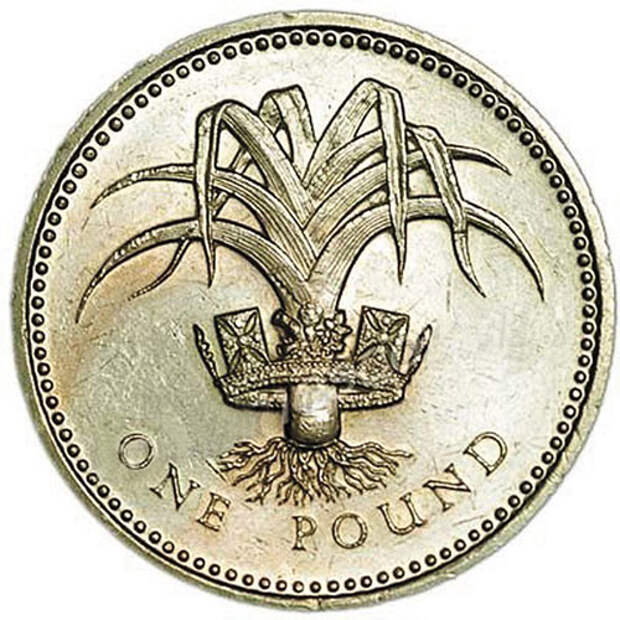 монета с изображением лука-порея