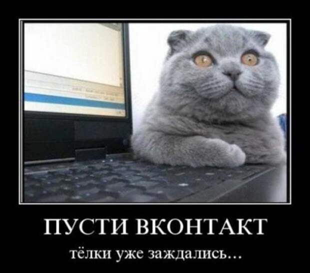 Демотиваторы по русски 1