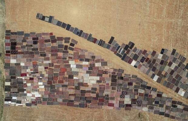 Тысячи ковров ручной работы выгорают под солнцем на поле в Турции