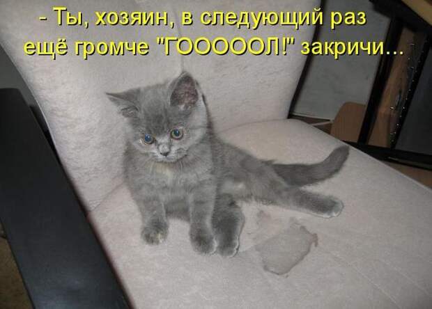Мысли вслух :)