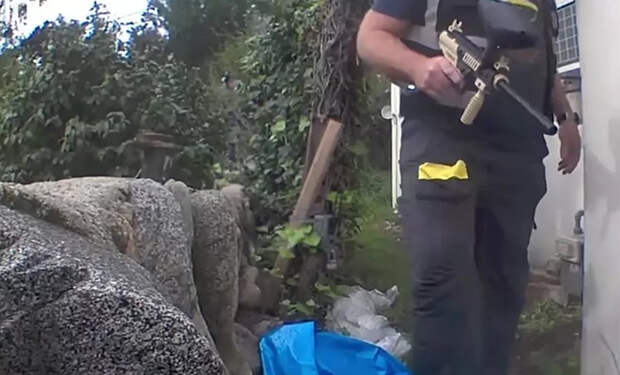 Источник фото: Ken Johnson/KTLA 5