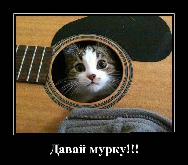 Демотиваторы (30 фото)