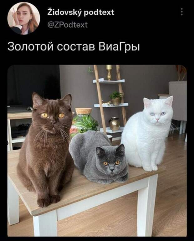 Смешные и познавательные картинки Смешные и познавательные картинки