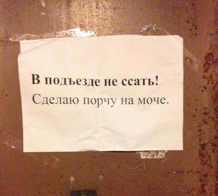 Прикольные картинки. Дневной выпуск (55 фото)
