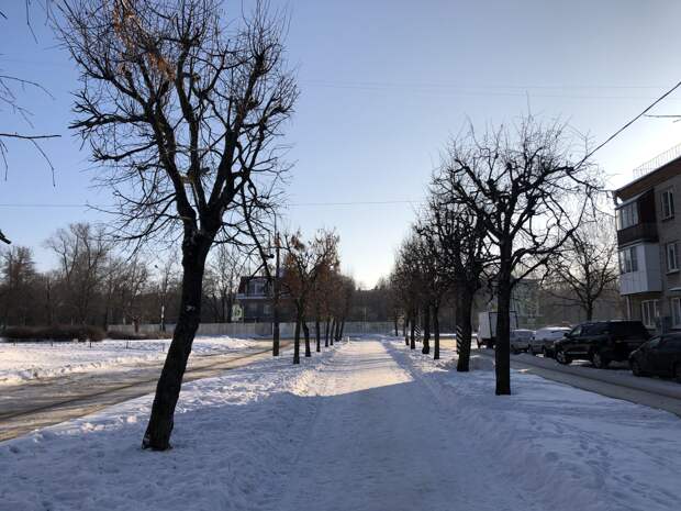 Колесов подвел погодные итоги первой декады февраля в Петербурге