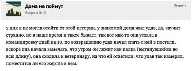 Писанина