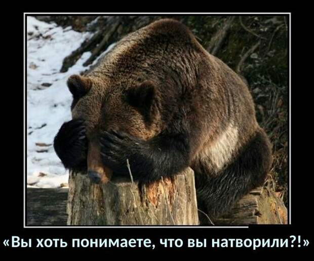 Веселые и позитивные демотиваторы про животных